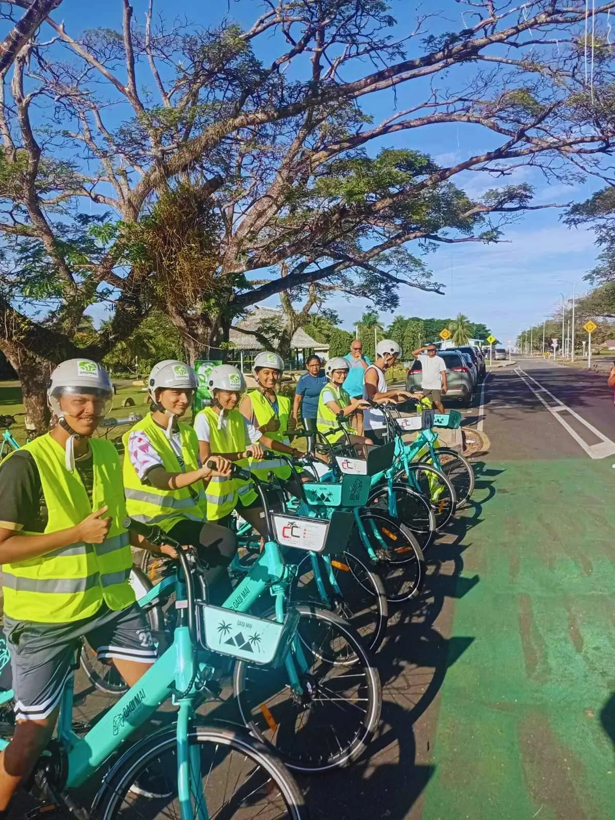 Electric bicycles 