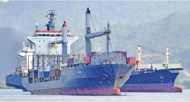 A photograph of two large cargo ships called the Arkadia and MSC Nila II berth at Suva Harbourt on August 20, 2024.