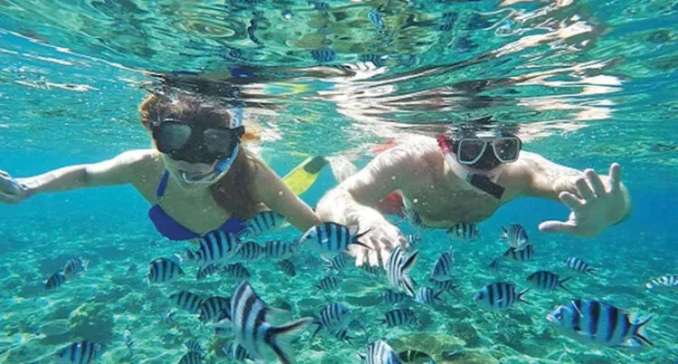 Two people snorkelling among colour fish near Tropica.
